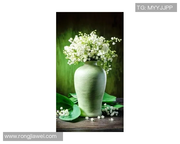 张骋宇：从平凡到卓越的奋斗历程与人生感悟分享